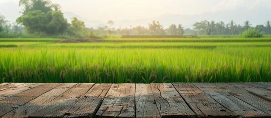Poster - Daytime view with a wooden table top set against a blurred rice field backdrop Ideal for product displays or design layouts with a copy space image