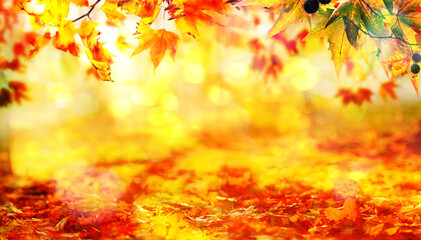 Wall Mural - yellow fall leaves, autumn blurred natural background