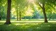 © Ashan - Defocused green trees in a park or woodland with sunlight beaming through untamed grass. Gorgeous natural background of summer and spring.