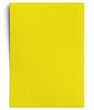 © Custom Scene - Plain Yellow Card 5x7in Front