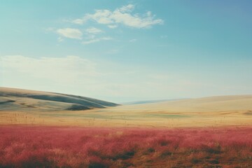 Poster - Minimal-large grassland landscape outdoors horizon.