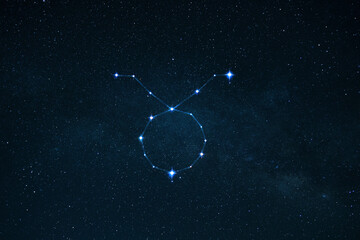 Wall Mural - zodiac sign taurus on the starry sky with stars. astrology, concept