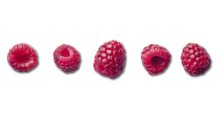 Wall Mural - Detailed view from different angles of raspberry. Set of five raspberries.