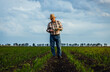 © Zoran Zeremski - Senior farmer standing in corn field examining crop in his hands at sunset.