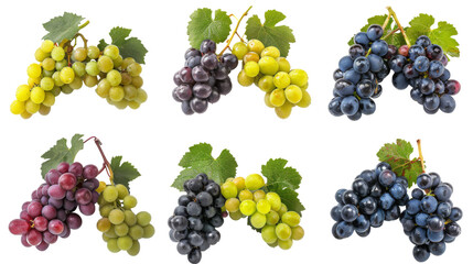 Set of grapes isolated on white. White grapes, red grapes, black grapes.