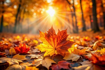 Wall Mural - Vibrant warm autumn leaves are sharply focused against a blurred background of softly falling leaves, lit by a bright and radiant golden sun.