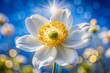 © Man888 - Vibrant white anemone flower with yellow stamens sharply focused against a brilliant blue sky with creamy bokeh, capturing the intimate beauty of nature's delicate details.