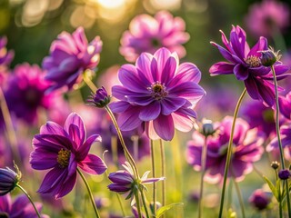 Wall Mural - Delicate, velvety purple petals unfolding from slender stems, softly swaying in the breeze, creating a serene and tranquil atmosphere in warm natural light.