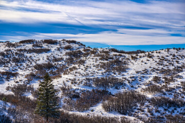 Wall Mural - 2023-12-31 SNOW COVERED HILL WITH A WALKING TRAIL AND A BEAUTIFUL SKY IN THE PHILLIP MILLER HIKING AREA IN CASTLE ROCK COLORADO