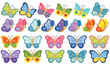 © yuliabikirova - Set of smiling multicolor butterfly clipart. Vector illustration of butterfly cartoon collection on white background. Flying butterfly isolated. Baby shower design elements. Party invitation, birthday
