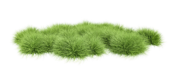 Wall Mural - Green grass patch scene isolated on white