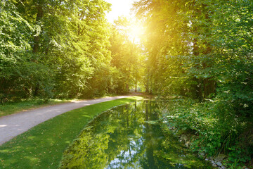 Wall Mural - Bright sunrise in the forest over picturesque lake and trees.
