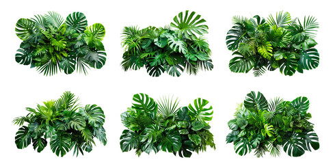 Wall Mural - A collection of six lush green tropical plant arrangements, each featuring a variety of leaves, isolated against a white background