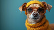 © Anatoli - A dog with glasses sits and looks at the camera close-up