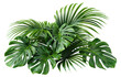 © Yeti Studio - Lush green tropical plants bush, cut out