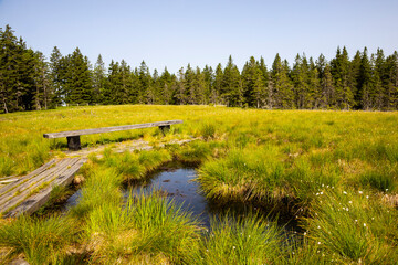 Nature reserve area at rogla, Pohorje mountain in Slovenia on an idyllic summer day.