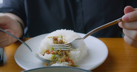 Closeup person eating hot and spicy thai food Stir fried Thai basil with minced pork served with jasmine rice on the table at restaurant