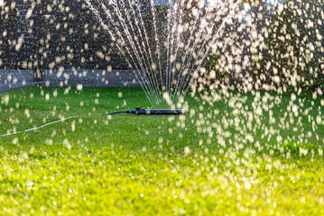 Grass swing sprinkler watering the lawn in the backyard of a house.