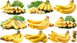 © Tevarplus - Banana Collection