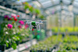 © Renata Hamuda - mini drone flying in a greenhouse with plants, advanced agricultural technology concept