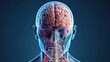© hanafi 99d - A close up of a brain with red veins