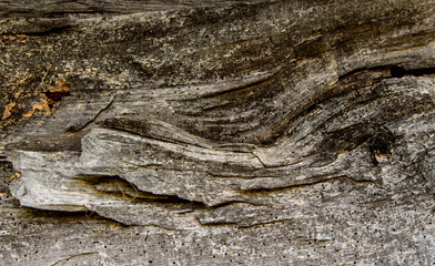 Canvas Print - Wood on old Motzen houses in the Apuseni Mountains, Romania