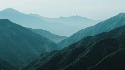 Poster - The mountains are covered in lush green trees