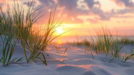 Poster - Golden Sunset over Beach Grass