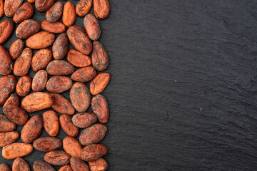 Canvas Print - Cocoa beans grain texture . Ingredient for preparating chocolate