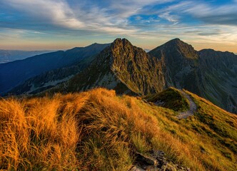 Sticker - Sunrise from the ridge of the Western Tatras, Rohace with a view of the Salatin mountain with grass illuminated by the rising sun, camping and bivouac in nature. Tatras, tourist theme, tourist trail.