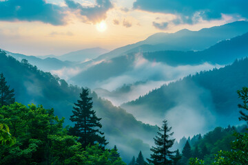 Wall Mural - Beautiful foggy morning in the morning. Mountain Day - August 11th