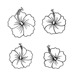 Wall Mural - Set of hibiscus flower. Hand drawn vector illustration in outline style.