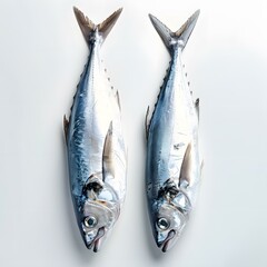 Two Fresh Fish on White Background