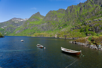 Wall Mural - From Aa, Lofoten, Norway