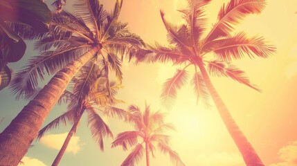 Wall Mural - Retro Toned Palm Trees Against Sunset Sky. generative AI