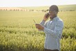 © Serhii - An African farmer is talking on the phone while standing in a wheat field. The concept of agrarian business