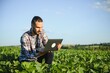 © Serhii - Agronomist inspecting soya bean crops growing in the farm field. Agriculture production concept. young agronomist examines soybean crop on field in summer. Farmer on soybean field