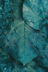 Poster - Autumn leaves in various shades of blue and green, with some overlaid on a grey background, suitable for textures or decoration.