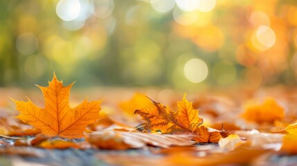 Wall Mural - A pile of yellow leaves on the ground