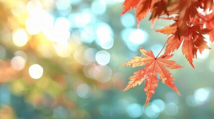 Canvas Print - A leaf is hanging from a tree branch