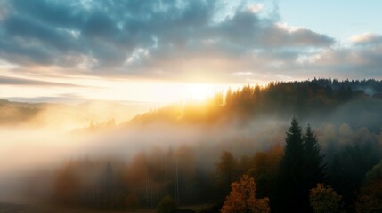 Poster - The sun is setting over a foggy forest, casting a warm glow over the trees