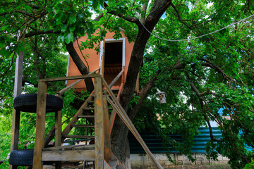 Wall Mural - A tree house with a ladder and a tire on the ground