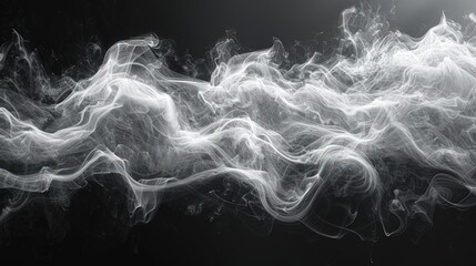 Wall Mural - White smoke on black background, fluid and organic shapes.