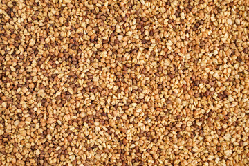 Wall Mural - Texture of raw buckwheat grains as background