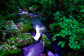 Anna Ruby Falls and smith creek in the state of Georgia, USA