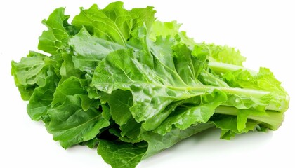 Wall Mural - a fresh ripe lettuce on a white background