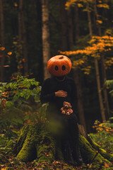 Poster - spooky woman with pumpkin head in forest with toy