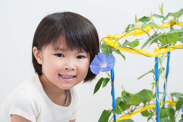 Canvas Print - 夏休みに朝顔を観察する小学生