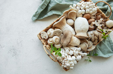 Wall Mural - Assortment of various raw mushrooms