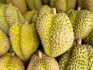 Sticker - Durians on the market as a background